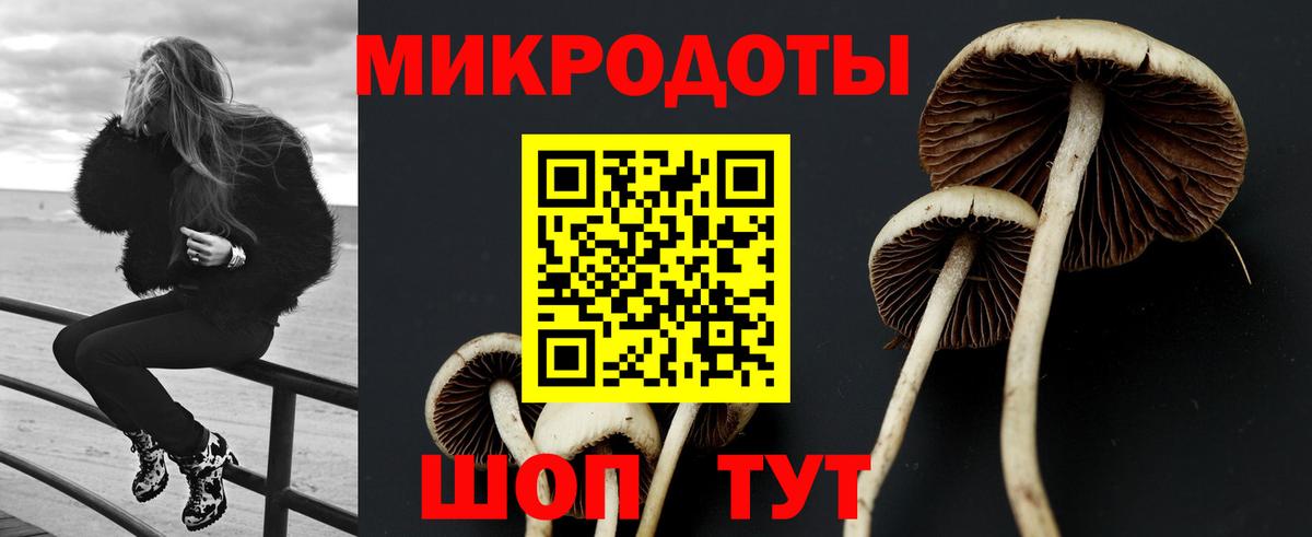 Псилоцибиновые грибы GOLDEN TEACHER  Вход с VPN  Псилоцибиновые грибы MAGIC MUSHROOMS  Чехов 