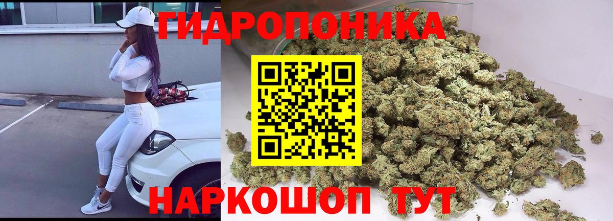 Бошки Шишки MAZAR  Каннабис марихуана  Вход с VPN  Чехов 
